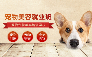 长沙宠物美容C级就业班