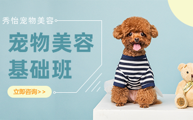 长沙宠物美容C级基础班
