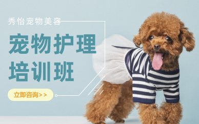 长沙宠物护理专业指导培训班