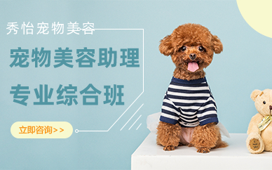 长沙宠物美容专业助理综合班