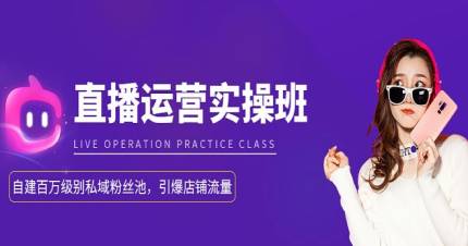 深圳淘宝直播运营实操班