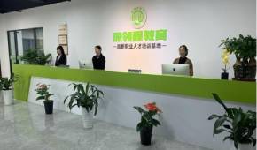 深圳恩凡领程办学优势怎么样？有什么资质荣誉？