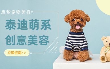 长沙泰迪萌系创意美容造型课程