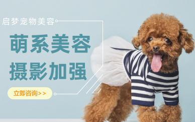 长沙萌系美容摄影加强班