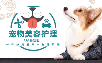 长沙宠物美容护理c级基础班