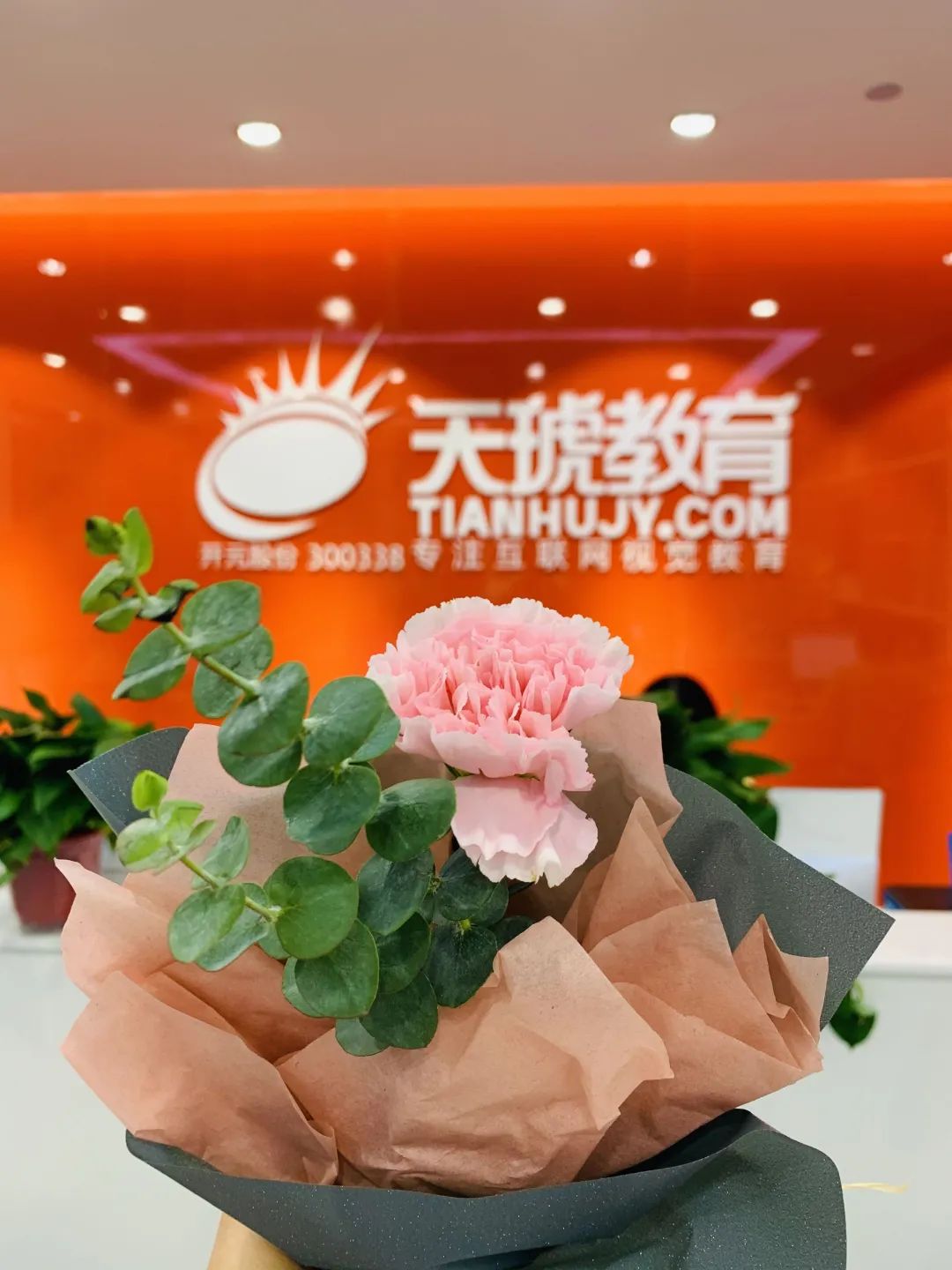 天琥教育 天琥教育