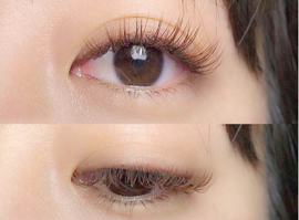 上海浅川美业培训学院日式美睫培训内容-基础知识