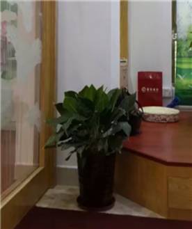 海水瑜伽教学环境 (5)