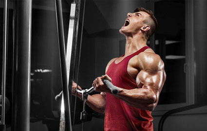 专业国职健身教练培训班