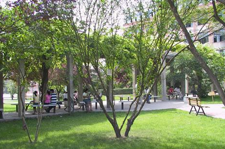 北京服装设计学院深圳分校学校校园 北京服装设计学院深圳分校学校校园
