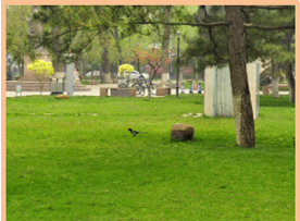 上海海峰职业培训学校-周边环境