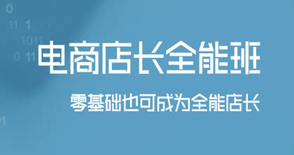 电商店长全能课程