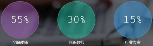 翡翠教育师资结构