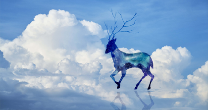 高级影视后期培训