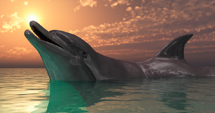 高级动画制作培训