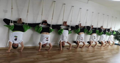 瑜伽体式精准与教学培训班