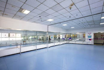 广州多芬-舞蹈室