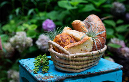 面包全能培训班