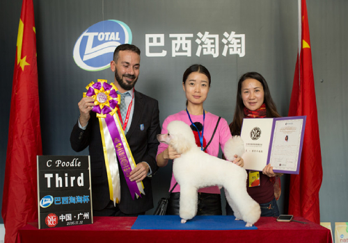 刘老师 刘老师