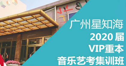 音乐艺考重本课程