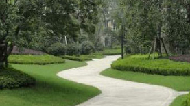 老男孩教育环境 (1)