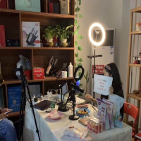 深圳红瓜子传媒