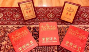 广州沐叶影视传媒的教学成果