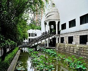 校园荷塘 校园荷塘