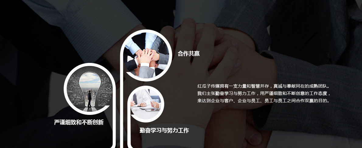 红瓜子 红瓜子