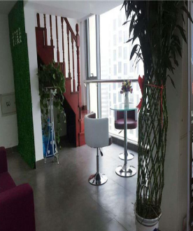 学校环境 (11) 学校环境 (11)