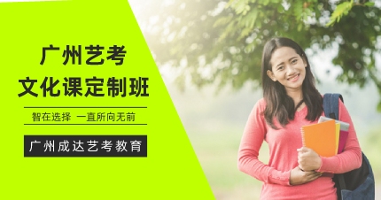 广州艺考文化课定制班