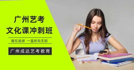 广州艺考文化课冲刺班