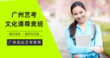 广州艺考文化课尊贵班