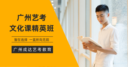 广州艺考文化课精英班