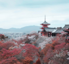 實(shí)景強(qiáng)化拓展課 實(shí)景強(qiáng)化拓展課