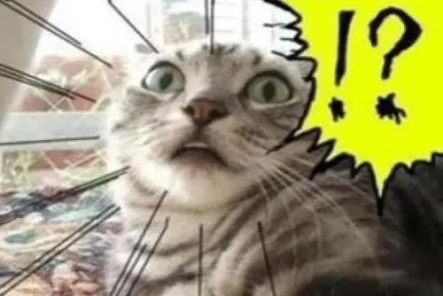 震惊?! 震惊?!
