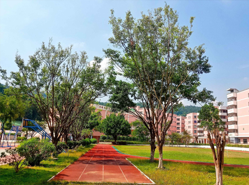 运动跑道 运动跑道