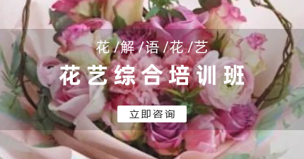 南京花艺综合培训班