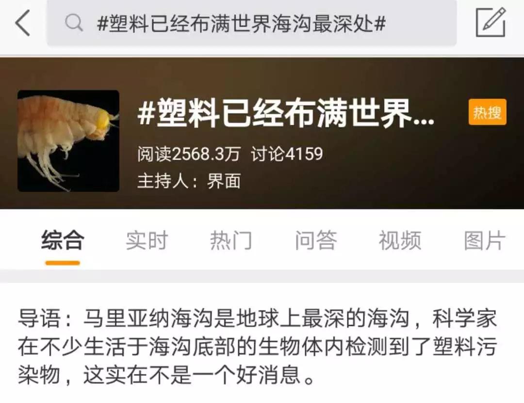 深圳英圣教育服装留学 深圳英圣教育服装留学