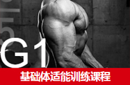 G1基础体能 G1基础体能