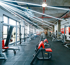 学校环境 学校环境