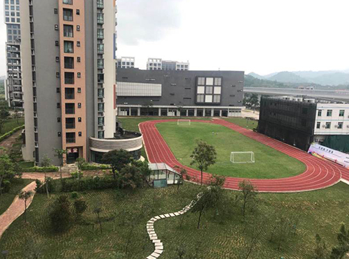 运动场 运动场