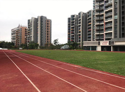 学校环境 学校环境