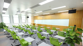 深圳艾美常青藤环境 (3)