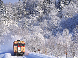 日本留学SGU/G30英文直申