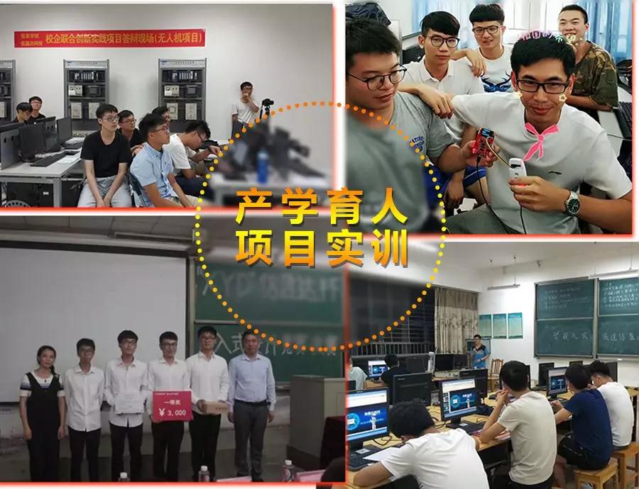 项目实训 项目实训