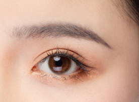 仿真根状眉操作 仿真根状眉操作