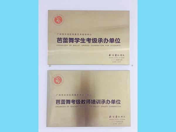 凤凰艺术舞蹈-考级承办单位