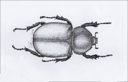创意素描培训班