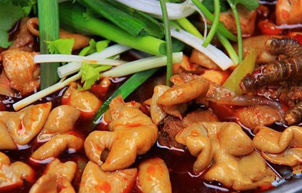 成都肥肠鸡培训班 成都肥肠鸡培训班